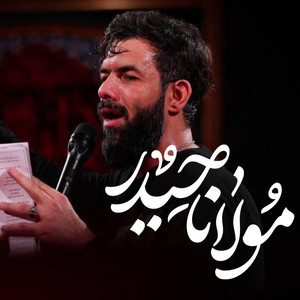مولانا حیدر by حسين ستوده