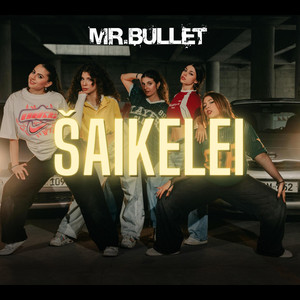 Šaikelei by Mr.Bullet