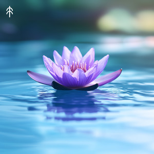 Nirvana's Whisper - Indian Flute by Blooming Lotus