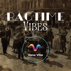 VanoVibe - Tin Accordion Joy