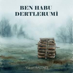 Yüksel Baltacı - BEN HABU DERTLERUMİ
