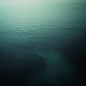 Flow (Forest) by Roen
