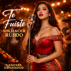 Te Fuiste Sin Hacer Ruido by Vanessa Granados