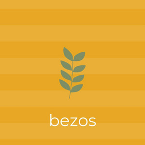 Bezos by Pags