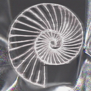 SPRINT