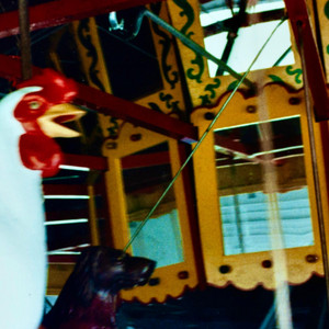 Anting Behaviour by Crane Like the Bird, Destroyer