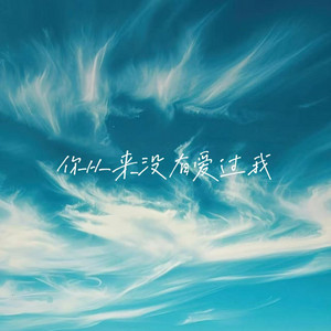 你从来没有爱过我 by 落日微笑