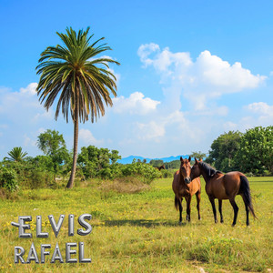 Suspiro de Amor by Elvis Rafael