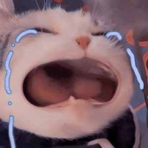Wha Wha Wha Cat