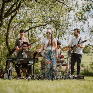 Kicsi madár - folkollázs