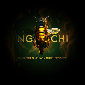 Simao Poulo - NGNOCH (feat. Terrell Elymoor & Elixo)