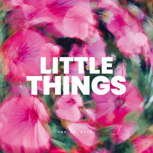 Little Things by Ann De Soins