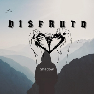 Shadow PR - Disfruto