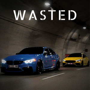 Wasted by OMER DEEP