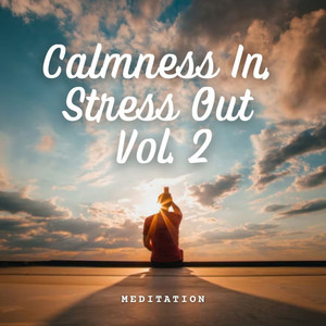 Meditation: Calmness In, Stress Out Vol. 2 album