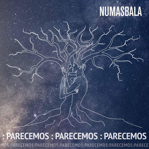 Portada de Parecemos