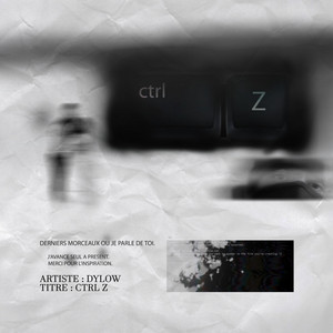 Portada de Reinitialisation