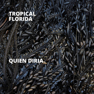 Portada de Quien Diria