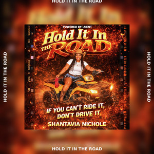 Hold It in the Road by Shantavia Nichole