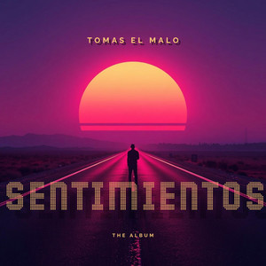 Necesito Un Amor by Tomas El Malo