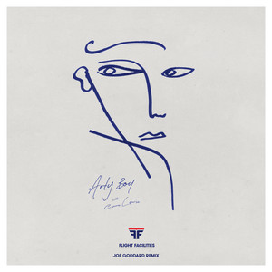 Flight Facilities · Arty boy