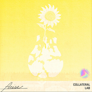 Arise by Collateral Lab