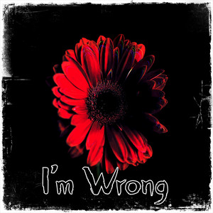 I'm Wrong by Vinal Krush