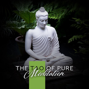 The Tao of Pure Meditation: Awareness, Self-Discovery, Heart Understanding album