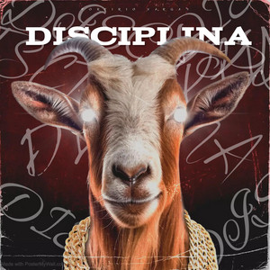 Porfirio Vargas - Disciplina