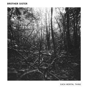Sheltering Wing by Brother Sister, davy