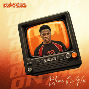 Blame on me by Donzy vibes
