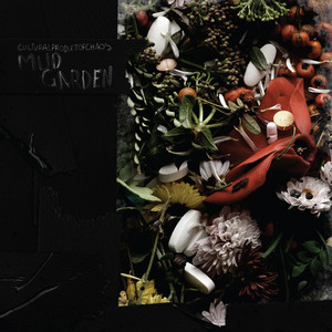 Drugitiz - Culturalproductsofchaos // Mud Garden