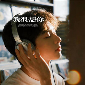 我很想你 ｜R&B｜ I miss you so much by Alex-听听音乐