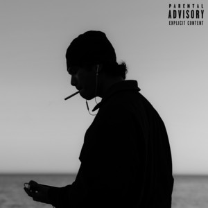 NO PILOT by Vonni