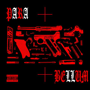 PARA BELLUM by Vitchh