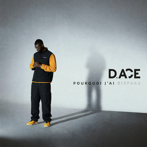 Pourquoi j'ai disparu by D.ACE