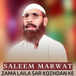 Saleem Marwat - Zama Laila Sar Kozhdan Ke