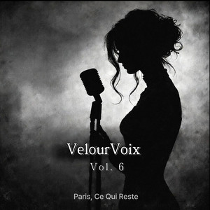 Ce N’est Plus Comme Avant by VelourVoix