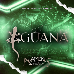 Alameños De La Sierra - La Iguana