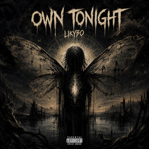 Own Tonight by Likybo