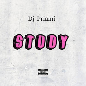 Dj Priami - Study