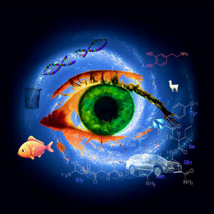 Space Llama Wanderer - Believe