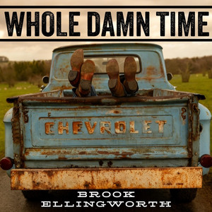 Whole Damn Time by Brook Ellingworth