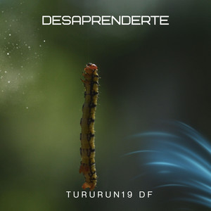 Desaprenderte by Tururun 19 Df