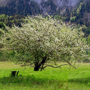 الشيخ محمد عبد الحميد - ربي إختر لي ولا تخيرني (Extended)