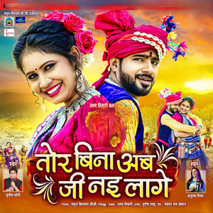 Tor Bina Ab Ji Nai Lage by Sunil Soni, Anupama Mishra