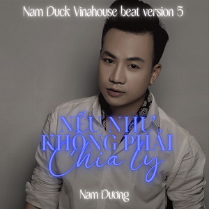 Nếu Như Không Phải Chia Ly (Vinahouse Beat Version 5)