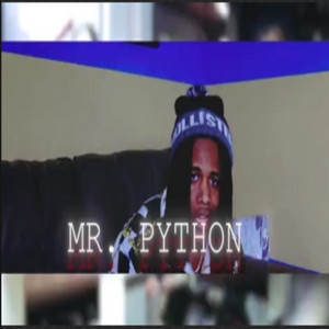 Make It Out Pt 1 by Mr Python
