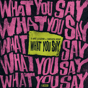 What You Say (feat. Imogen Heap) artwork