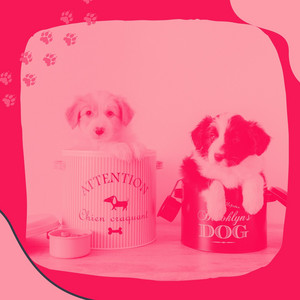 Smooth Jazz - Background Music for Playing Fetch album